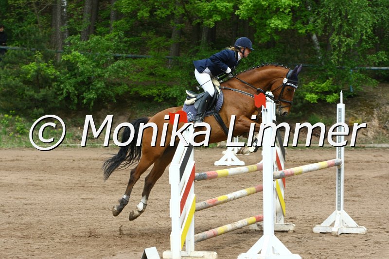 104M3602_Scalari_Springpf L.JPG